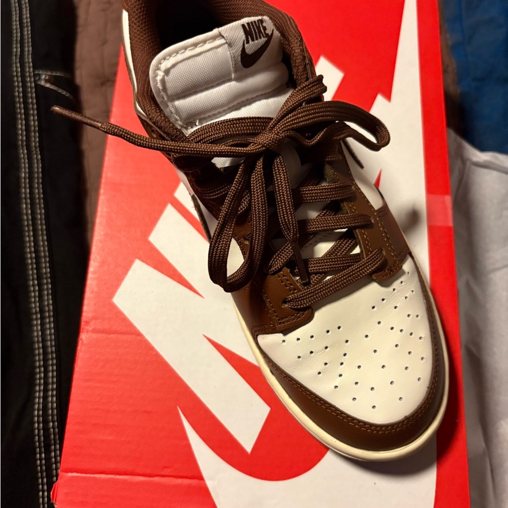 Nike Dunk Low in Brown and White